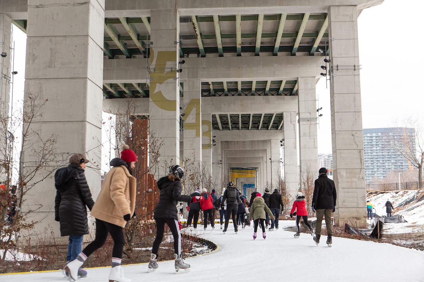 toronto skate event winter downtown