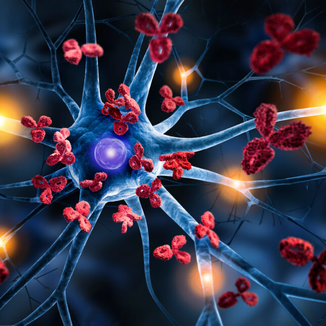 Antibodies flying towards nerve cells — in the lab coverage from STAT