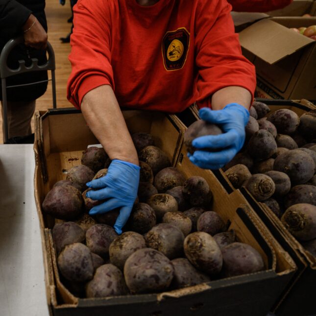 A staff of the Hungry Monk pantry, wearing blue gloves, distributes food from paper boxes — first opinion coverage from STAT